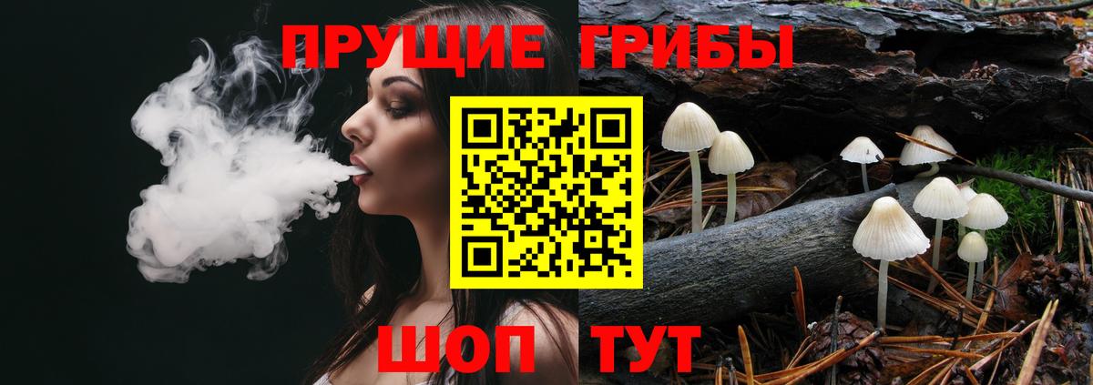 Галлюциногенные грибы GOLDEN TEACHER  Псилоцибиновые грибы Magic Shrooms  Воткинск  Вход с VPN 